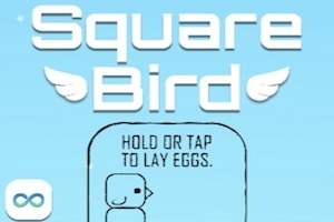 square bird