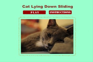 Cat-Lying-Down-Sliding